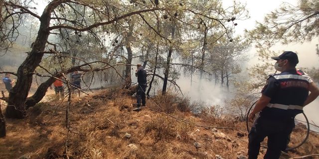 Datça’daki orman yangınına kolluk kuvvetleri de müdahale etti!