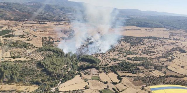 Milas'ta orman yangını müdahalesi sürüyor