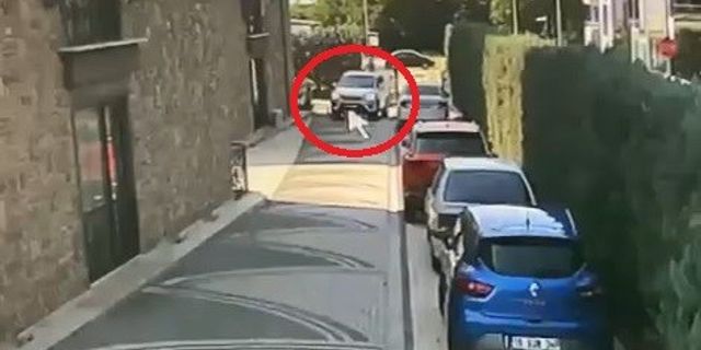 Ezdiği köpeğe aldırış etmeden aracını park edip gitti!