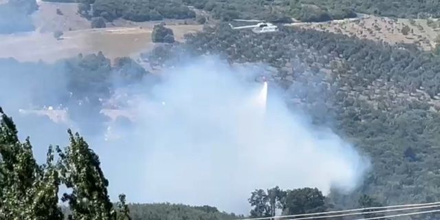 Bursa’da orman yangını