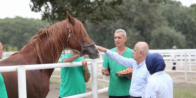 Bakan Vahit Kirişci, “Cumhurbaşkanımızın duruşu ile bu mesele çözüldü"
