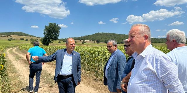 CHP heyeti çayır tırtılı istilası için Yenişehir’de