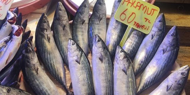 Bursa Mudanya'da balık tezgahlarında çeşitler arttı