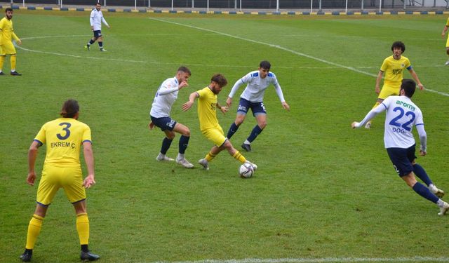 Bursa Yıldırımspor Fatsa Belediyespor'u devirdi