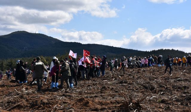 Orman Bölge Müdürlüğü, düzenlediği fidan dikimiyle 21 bin fidanı toprakla buluşturdu