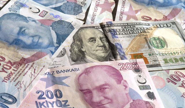 Yılbaşından beri TL'nin dolar karşısındaki kaybı yüzde 33,5'e yükseldi!