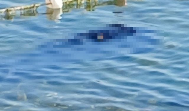 Bursa’da kayıp adam denizde boğulmuş halde bulundu!