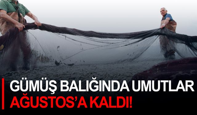 Gümüş balığında umutlar Ağustos’a kaldı!