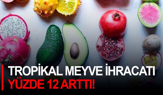 Tropikal meyve ihracatı yüzde 12 arttı!