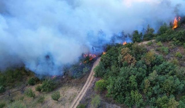 Bursa’da korkutan orman yangını... 12 saat sonra kontrol altına alındı