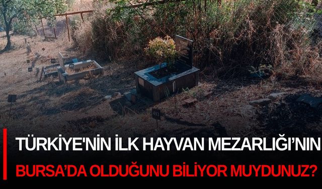 Türkiye'nin İlk Hayvan Mezarlığı’nın Bursa’da olduğunu biliyor muydunuz?