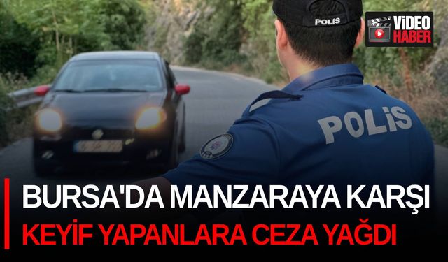 Bursa'da manzaraya karşı keyif yapanlara ceza yağdı