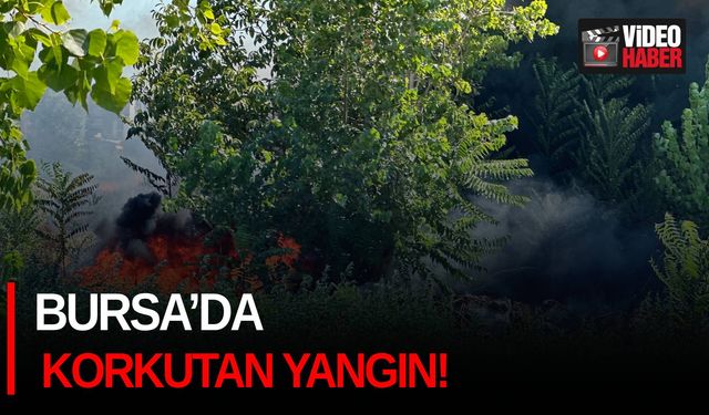 Bursa’da korkutan yangın!