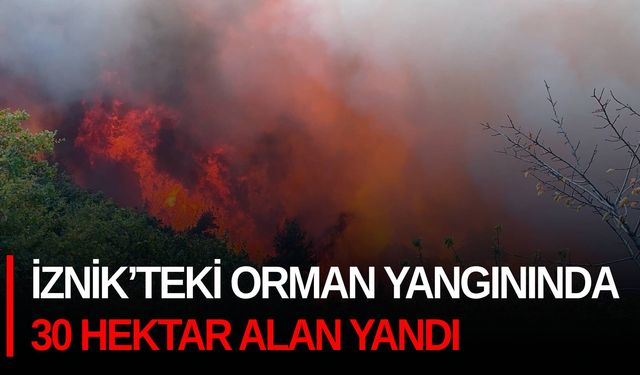 İznik’teki orman yangınında 30 hektar alan yandı