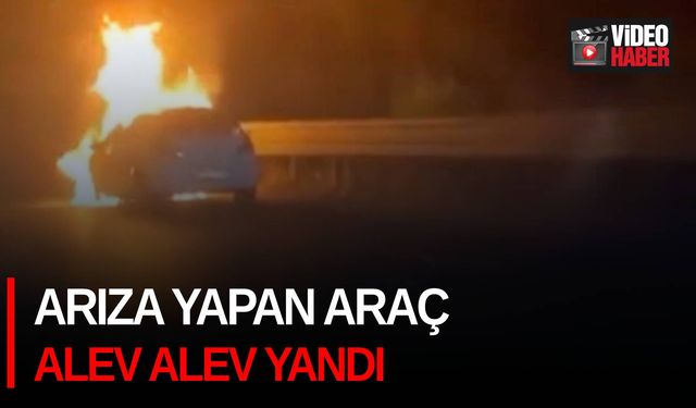 Arıza yapan araç alev alev yandı