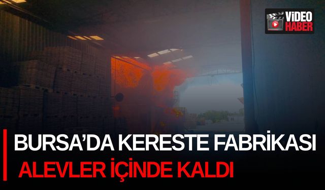 Bursa’da kereste fabrikası alevler içinde kaldı