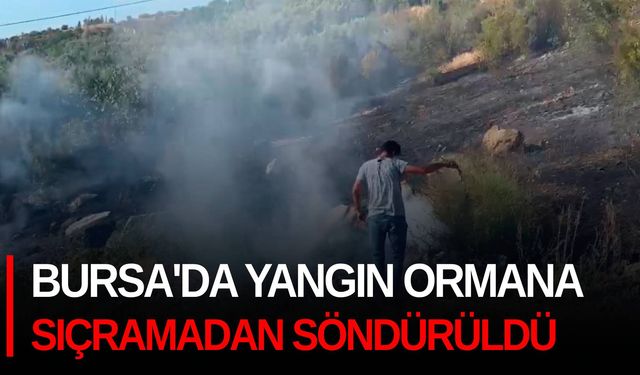 Bursa'da yangın ormana sıçramadan söndürüldü