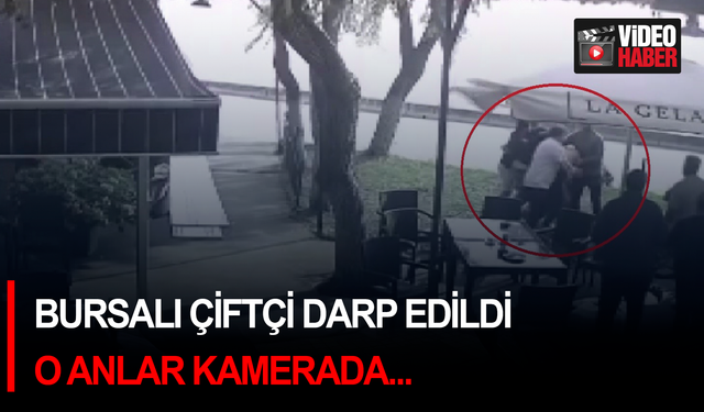 Bursalı çiftçi darp edildi: O anlar kamerada...