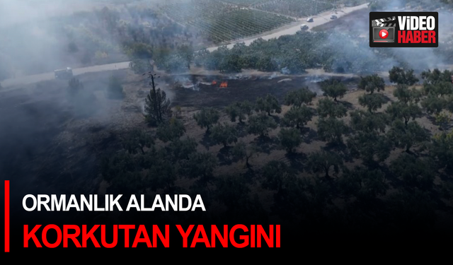 Ormanlık alanda korkutan yangın