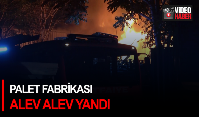 Palet fabrikası alev alev yandı