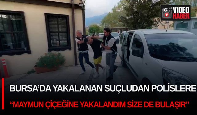 Bursa’da yakalanan suçludan polislere; “Maymun çiçeğine yakalandım size de bulaşır”