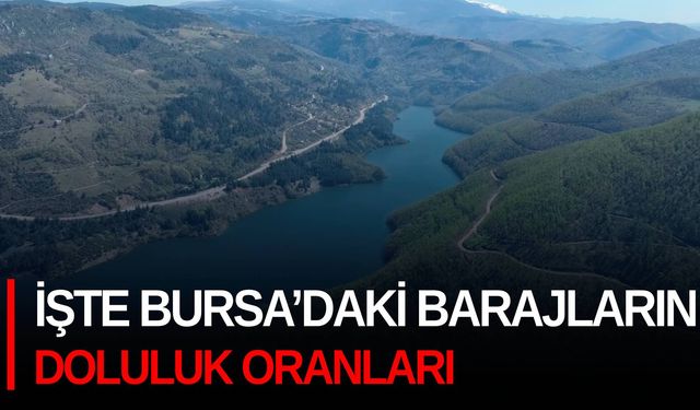 İşte Bursa’daki barajların doluluk oranları