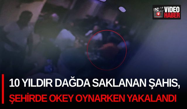 10 yıldır dağda saklanan şahıs, şehirde okey oynarken yakalandı