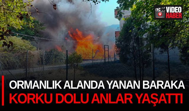 Ormanlık alanda yanan baraka korku dolu anlar yaşattı