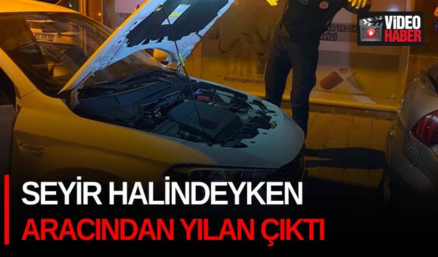 Seyir halindeyken aracından yılan çıktı