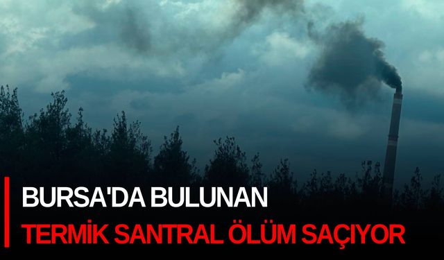 Bursa'da bulunan Termik Santral ölüm saçıyor