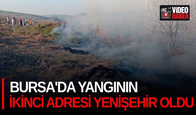 Bursa'da yangının ikinci adresi Yenişehir oldu