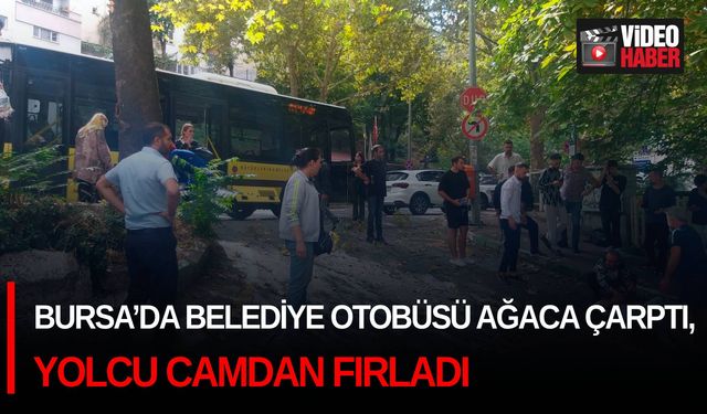 Bursa’da Belediye otobüsü ağaca çarptı, yolcu camdan fırladı