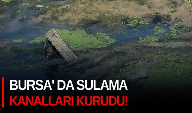 Bursa’da sulama kanalları kurudu!