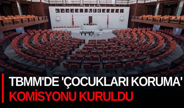 TBMM'de 'Çocukları Koruma' komisyonu kuruldu