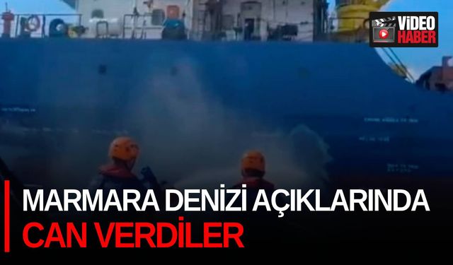 Marmara Denizi açıklarında can verdiler