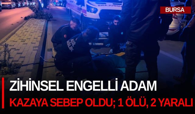 Zihinsel engelli adam kazaya sebep oldu; 1 ölü, 2 yaralı