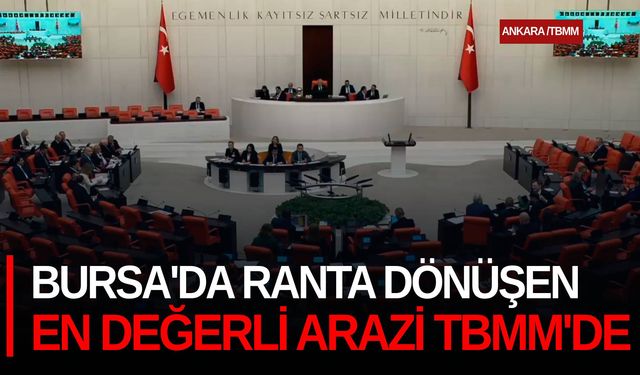 Bursa'da ranta dönüşen en değerli arazi TBMM'de