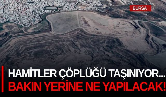 Hamitler çöplüğü taşınıyor... Bakın yerine ne yapılacak!