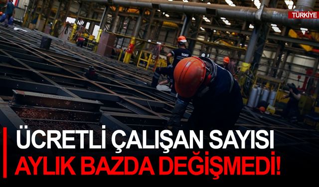 Ücretli çalışan sayısı aylık bazda değişmedi!