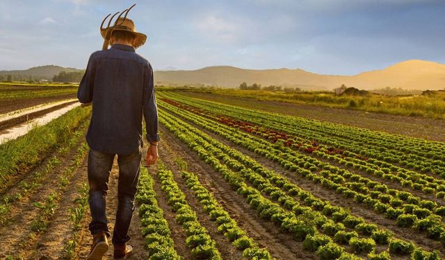 Köye dönene hibe desteği geliyor!