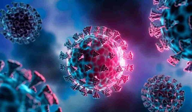 Yeni salgın alarmı! Kuş gribi can aldı