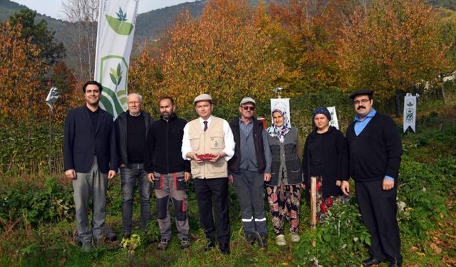 Osmangazi’de Üzümsü Meyvelerde Organik Tarım Seferberliği