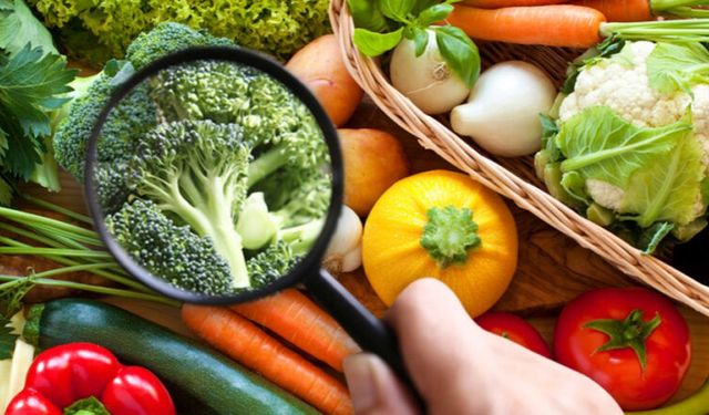 “Gıda Güvenliği Bir Tercih Değil, Kamu Görevidir”