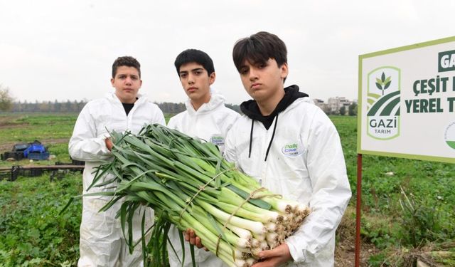 Osmangazi’de Pırasa Hasadıyla Doğallık Sofralara Taşınıyor