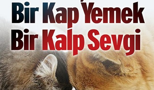 Büyükşehir Kent Konseyi Hayvan Hakları Grubu’ndan Anlamlı Dayanışma