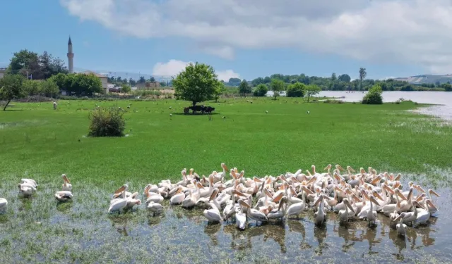 Bursa İnegöl Hamzabey'de doğa ile tarih buluşuyor