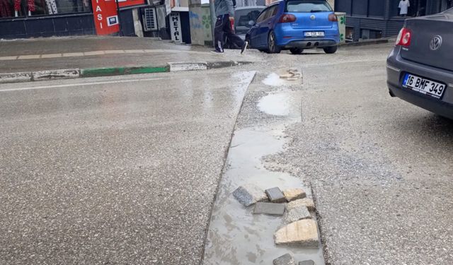 Zümrütevler Çiçek Caddesi’nde Haftalardır Süren Skandal İhmal