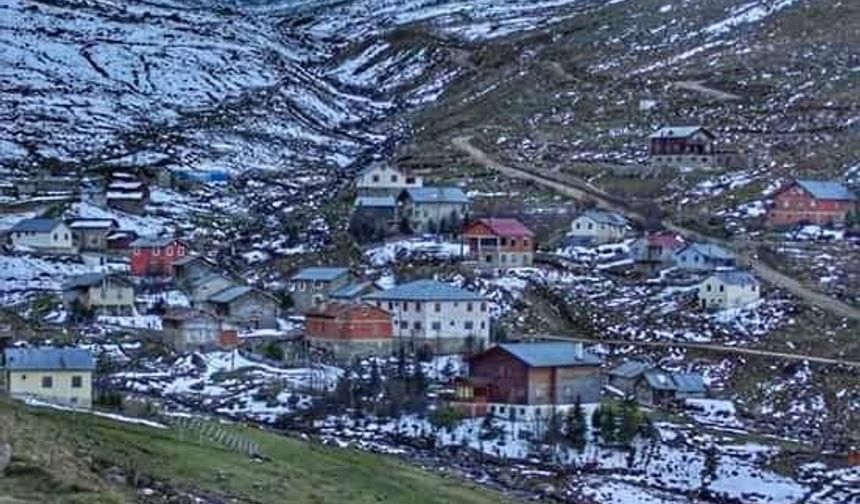 Yiyecek bulamayan ayılar, yayla evlerine indi