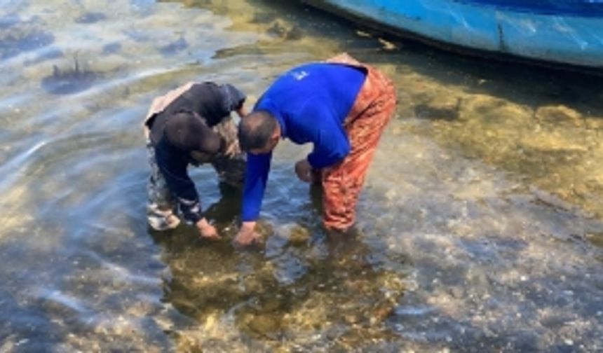 Bursa’da balıkçıların ağına tarihi eser takıldı