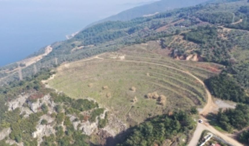 Bursa’da maden ocakları ağaçlandırılıyor